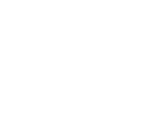 Pleo